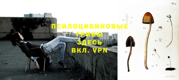 герыч Арсеньев