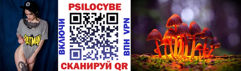 Псилоцибиновые грибы ЛСД  Чернушка 